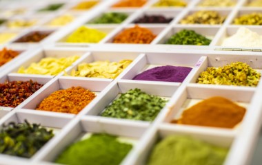 Food Ingredients and Additives