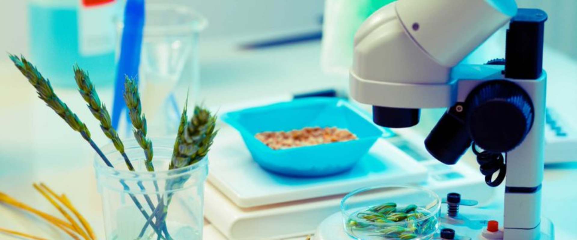 Functional food archives infiniti research